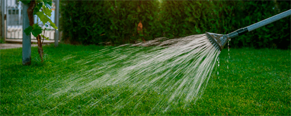 Regar con el agua de la piscina